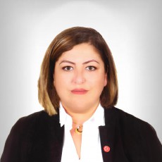 İlknur GÜLÜMSER SOLMAZ